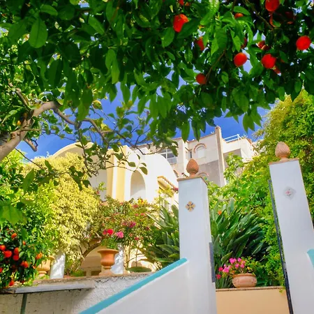 Dorothee Pensión 3*