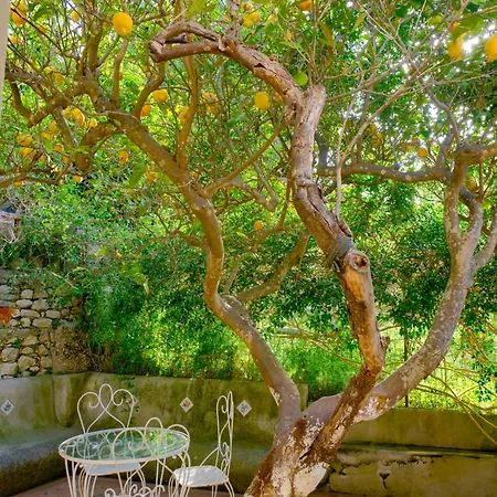 Gæstehus Dorothee 3*