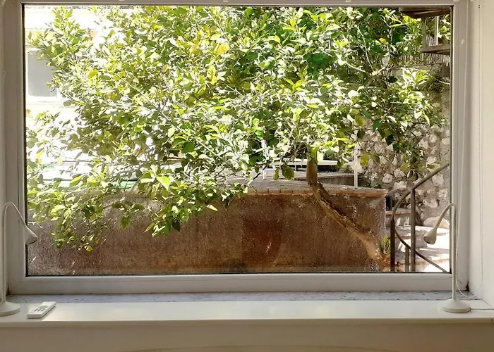 Dorothee Guest house 3*