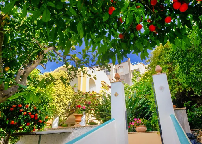 Dorothee Guest house 3*